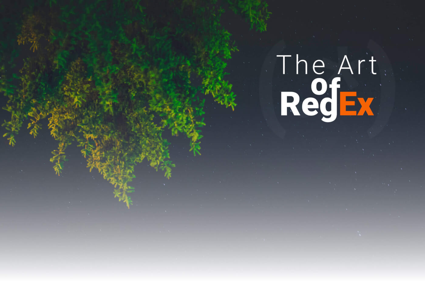 Understanding Regular Expressions in JavaScript